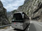 VANHOOL Acron